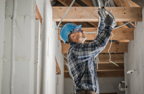 Best Local Electrician Companies  in Sisseton, SD