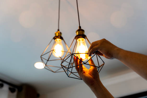 Best Ceiling Fan Installation Electrician  in Sisseton, SD