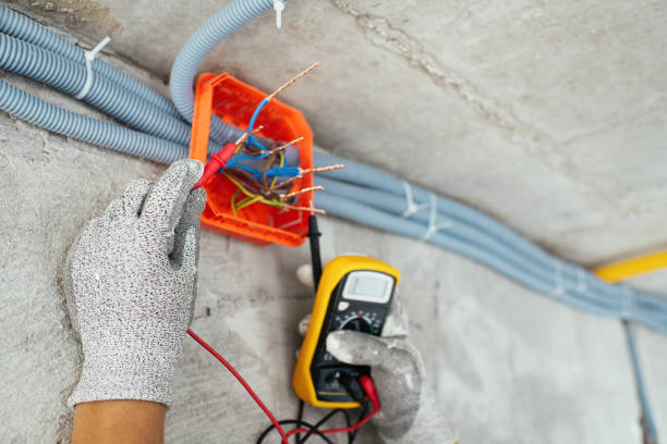 Best Electrical Repair Services  in Sisseton, SD